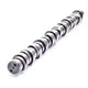 Volvo Engine D13 Camshaft
